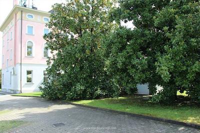 پارک ویلا لئاون دورو