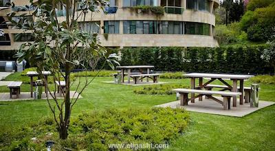 ریپابلیکا اورتاکوی آپارت