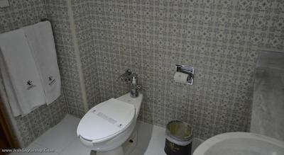 پلازا گریبلدی