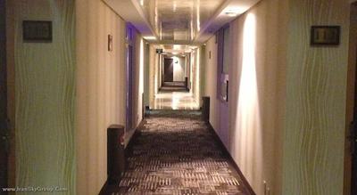 پلازا گریبلدی