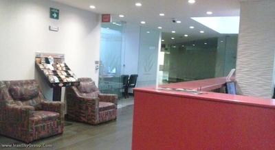 پلازا گریبلدی