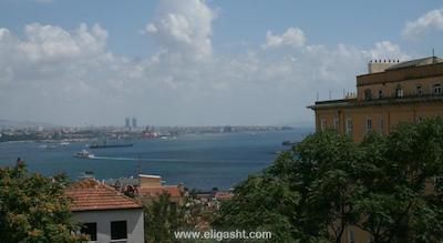 اکلکتیک گست هاوس