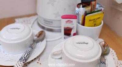 اکلکتیک گست هاوس