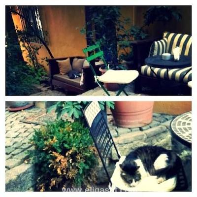 اکلکتیک گست هاوس