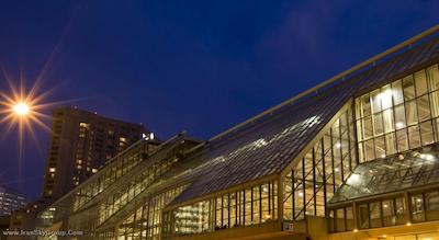 دلتا تورنتو