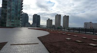 دلتا تورنتو