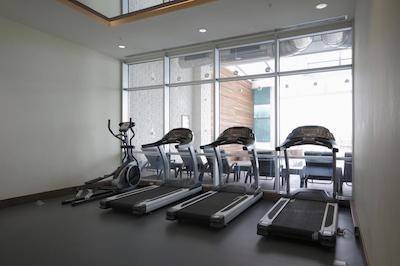 تویاپ پالاس