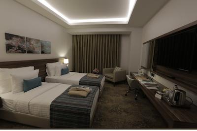 تویاپ پالاس