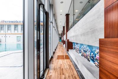 آیدین اوغلو