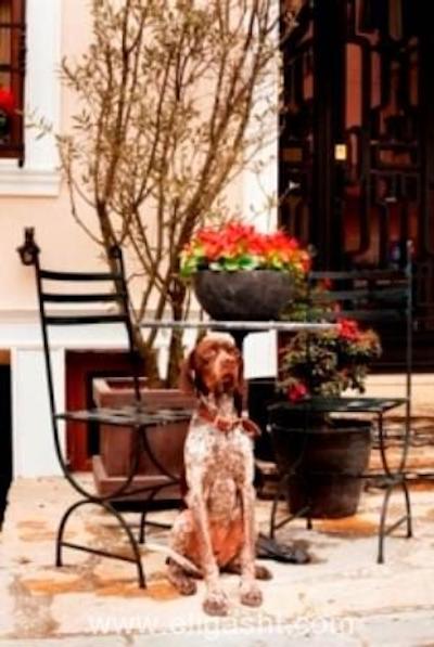 لوکوم او سوئیت