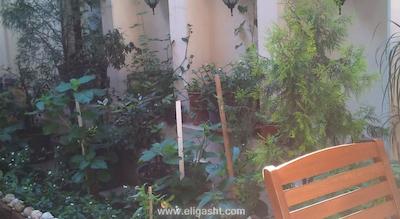 ویلا اسفندون