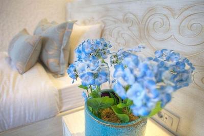 الگانس آسیا هتل