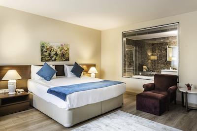 روکس هتل ایرپورت