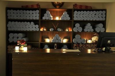 روکس هتل ایرپورت