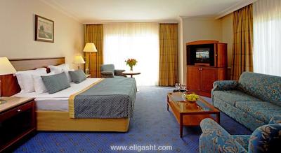 آی‌سی هتلس ایرپورت