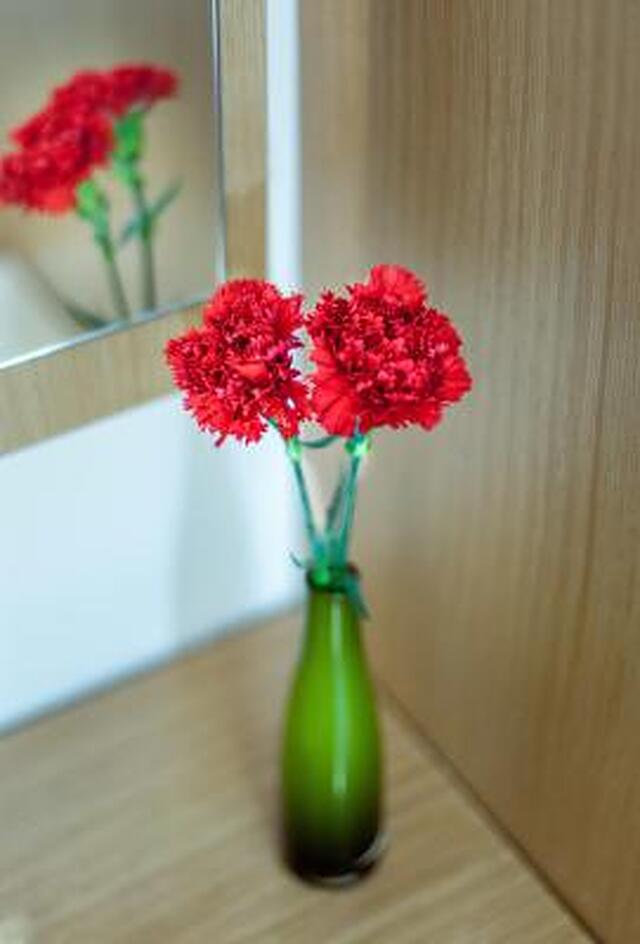 سود کوناک