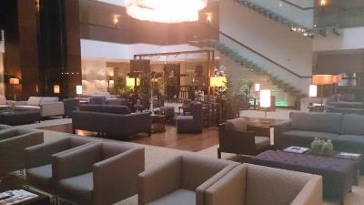 آگااوغلو مای سیتی