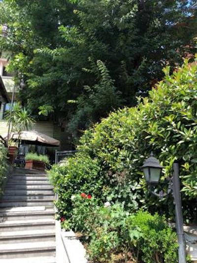 گاردن هاوس استانبول