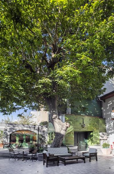 گاردن هاوس استانبول