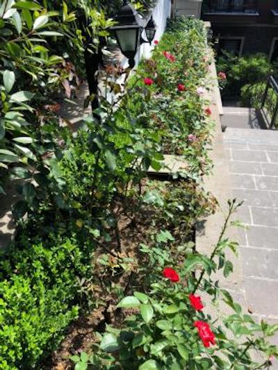 گاردن هاوس استانبول