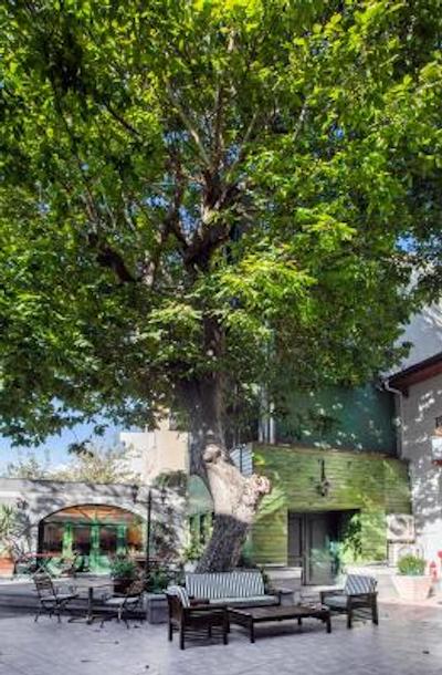 گاردن هاوس استانبول