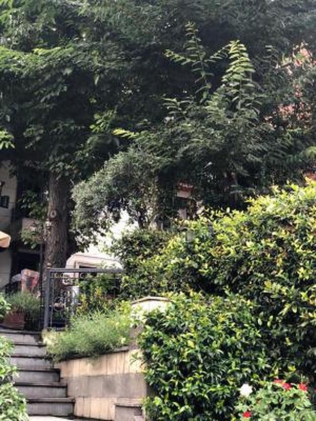 گاردن هاوس استانبول