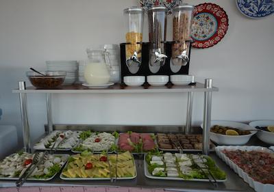 فلاور پالاس هتل