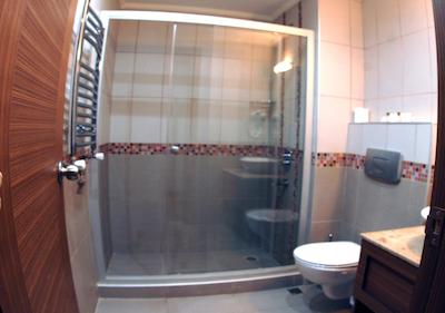 فلاور پالاس هتل