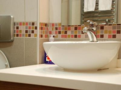 فلاور پالاس هتل