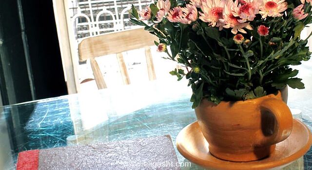 مایی بوتیک