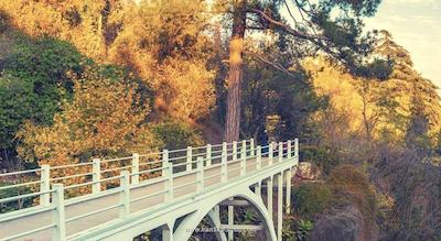 کورتیارد تفلیس