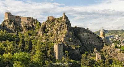 کورتیارد تفلیس