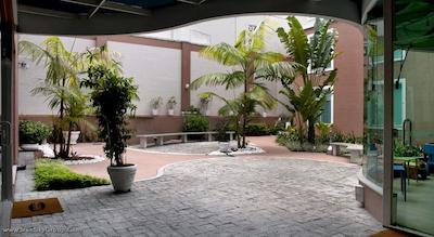 گو این منوس