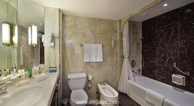 هیلتون گاردن این استانبول اتاتورک ایرپرت