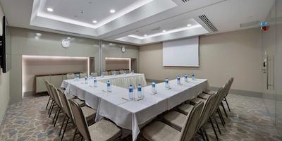 هیلتون گاردن این استانبول اتاتورک ایرپرت