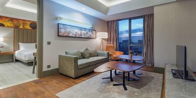 هیلتون گاردن این استانبول اتاتورک ایرپرت