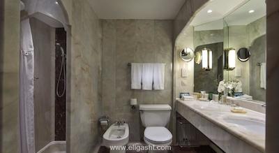 هیلتون گاردن این استانبول اتاتورک ایرپرت