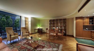 هیلتون گاردن این استانبول اتاتورک ایرپرت