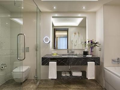 ددمان بستانچی استانبول هتل اند کانونشن سنتر