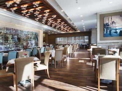 ددمان بستانچی استانبول هتل اند کانونشن سنتر