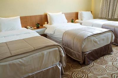 الیت هتل دراگوس