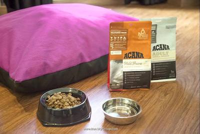 پتیت پالاس پسادا دل پین