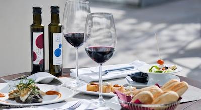 اکس مادرید نورت