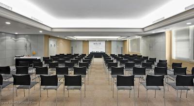 ملیا کاستیلا