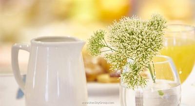 کیسن دل تورمس