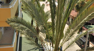 ازکن هتل