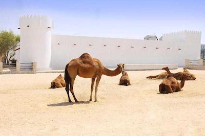 شرایتون گرند دوحه ریزورت اند کانونشن هتل