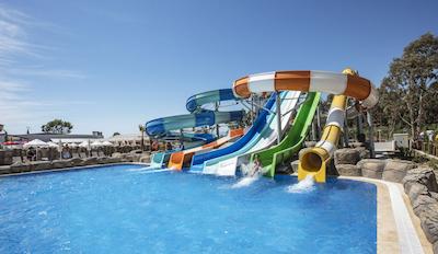 پالم وینگز افسوس