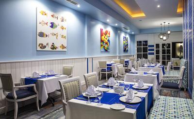 پالم وینگز افسوس