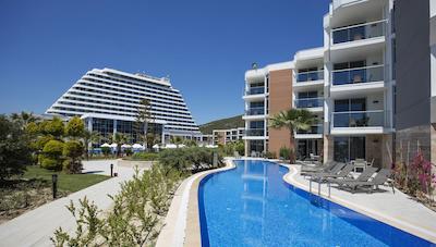 پالم وینگز افسوس